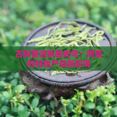 古树普洱茶易武弯：阿里的特色产品新发现