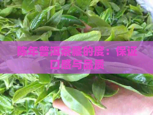 陈年普洱茶藏的度：保证口感与品质