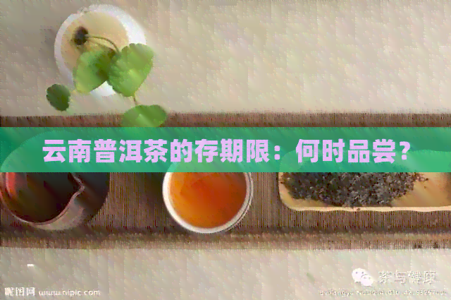 云南普洱茶的存期限：何时品尝？