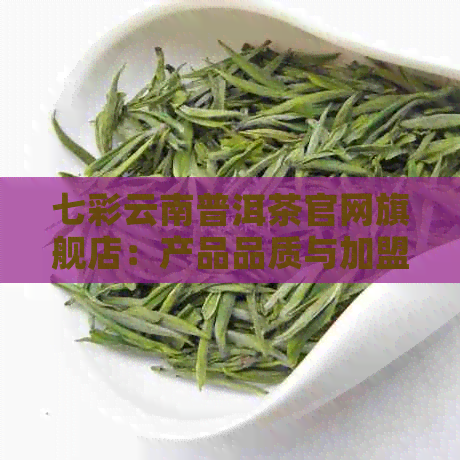 七彩云南普洱茶官网旗舰店：产品品质与加盟费用详解