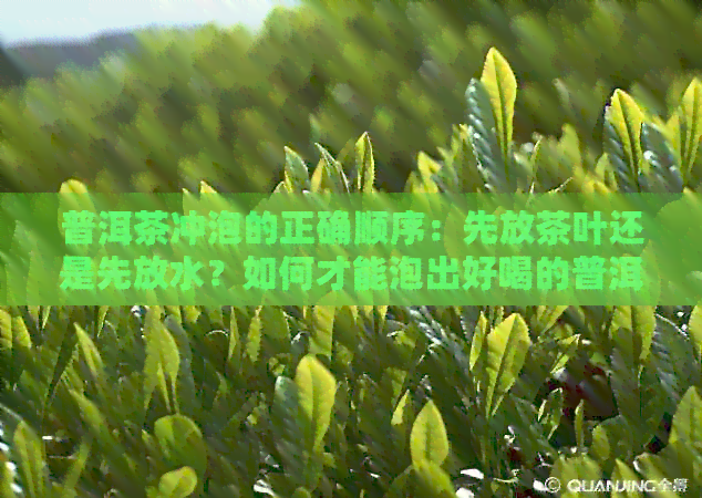 普洱茶冲泡的正确顺序：先放茶叶还是先放水？如何才能泡出好喝的普洱茶？