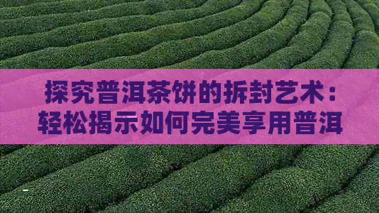 探究普洱茶饼的拆封艺术：轻松揭示如何完美享用普洱茶