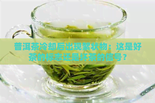 普洱茶冷却后出现絮状物：这是好茶的标志还是坏茶的信号？