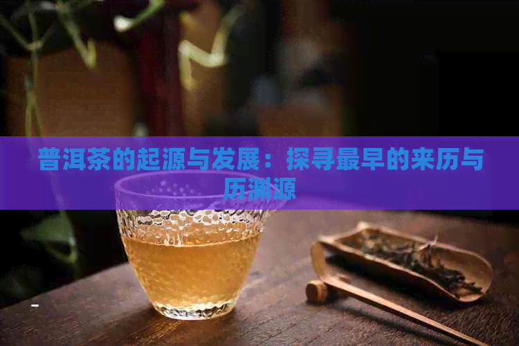 普洱茶的起源与发展：探寻最早的来历与历渊源