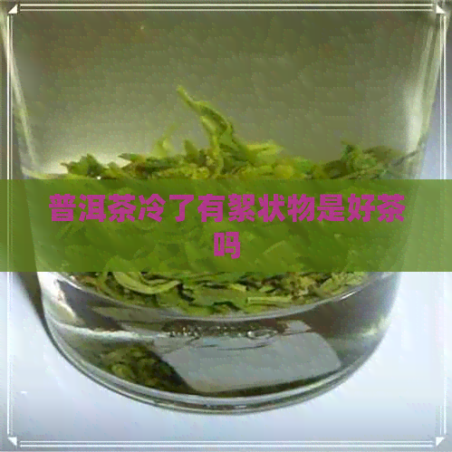 普洱茶冷了有絮状物是好茶吗