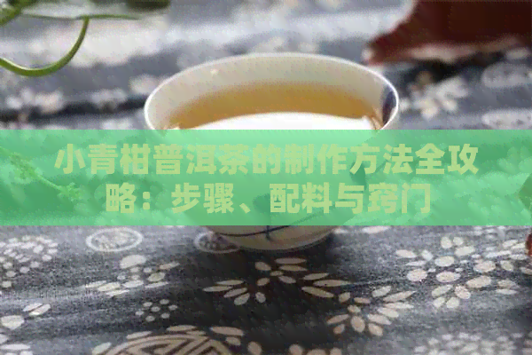 小青柑普洱茶的制作方法全攻略：步骤、配料与窍门