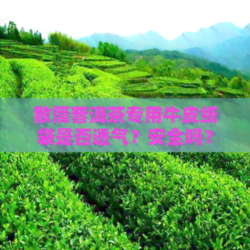 散筒普洱茶专用牛皮纸袋是否透气？安全吗？