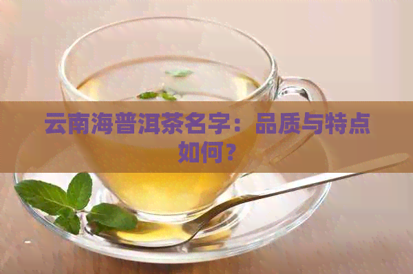 云南海普洱茶名字：品质与特点如何？