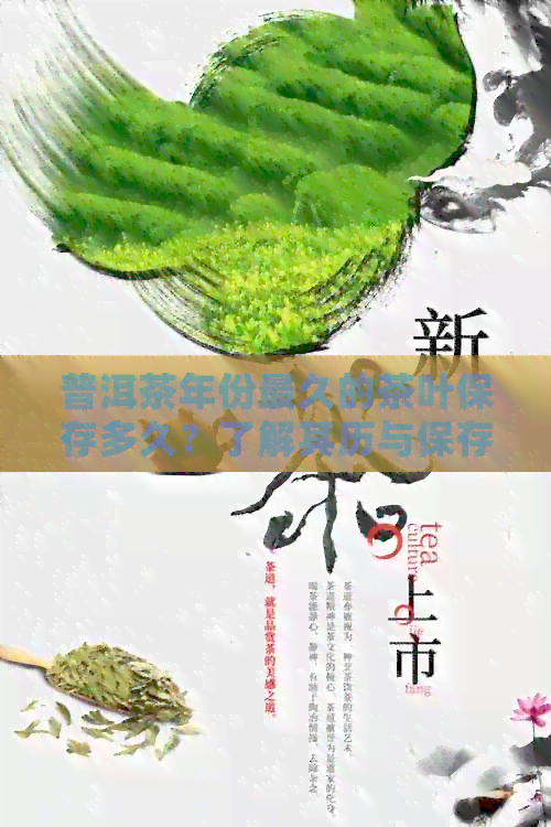 普洱茶年份最久的茶叶保存多久？了解其历与保存方法。