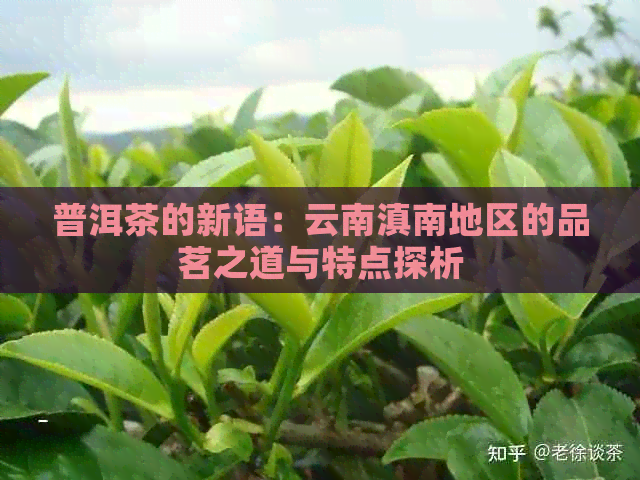 普洱茶的新语：云南滇南地区的品茗之道与特点探析