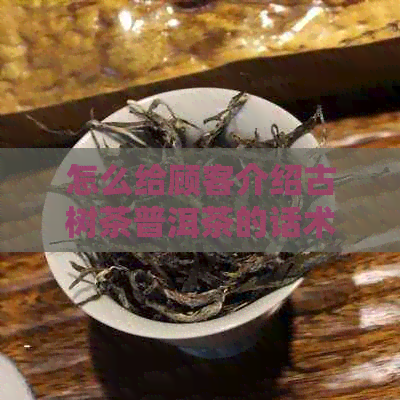 怎么给顾客介绍古树茶普洱茶的话术：技巧和方法，让你成为专业推荐者