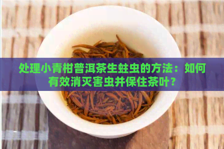 处理小青柑普洱茶生蛀虫的方法：如何有效消灭害虫并保住茶叶？