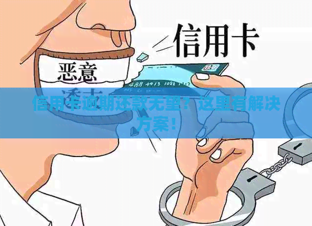 信用卡逾期还款无望？这里有解决方案！