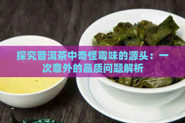 探究普洱茶中奇怪霉味的源头：一次意外的品质问题解析