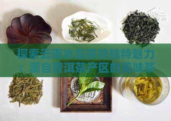 探索云南冰岛茶的独特魅力：源自普洱茶产区的美味茶叶