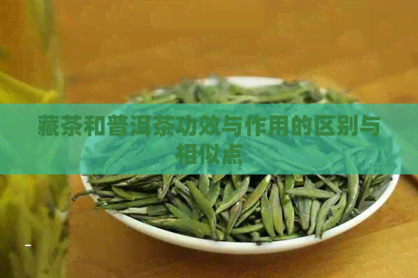 藏茶和普洱茶功效与作用的区别与相似点