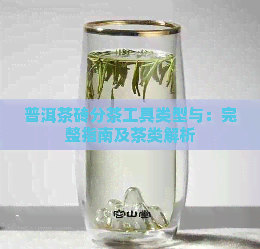 普洱茶砖分茶工具类型与：完整指南及茶类解析