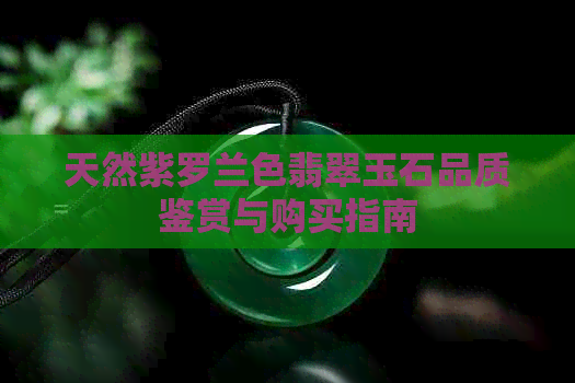 天然紫罗兰色翡翠玉石品质鉴赏与购买指南