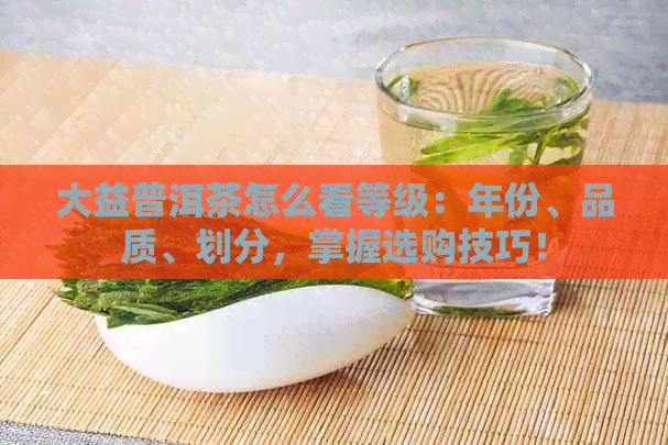 大益普洱茶怎么看等级：年份、品质、划分，掌握选购技巧！