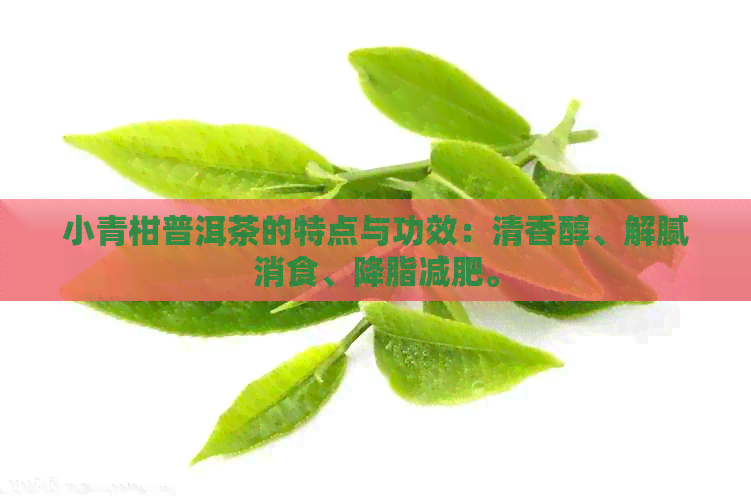 小青柑普洱茶的特点与功效：清香醇、解腻消食、降脂减肥。