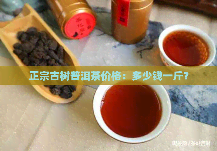 正宗古树普洱茶价格：多少钱一斤？