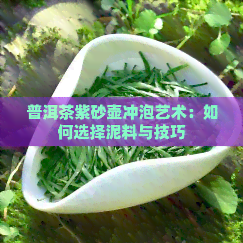 普洱茶紫砂壶冲泡艺术：如何选择泥料与技巧