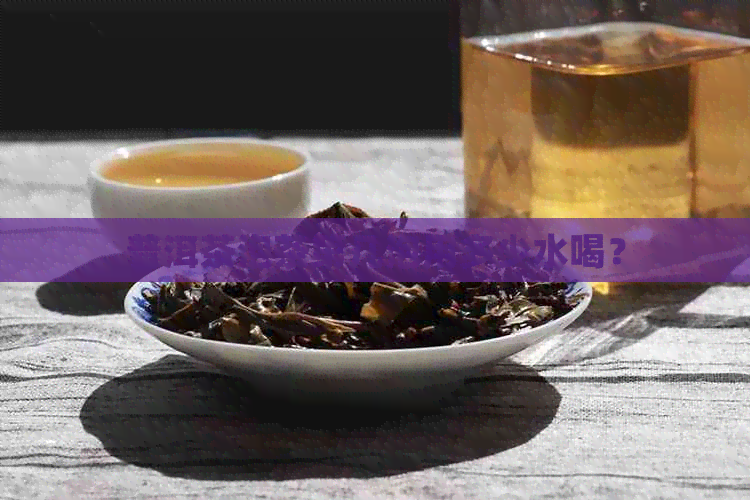 普洱茶泡茶第几泡用多少水喝？