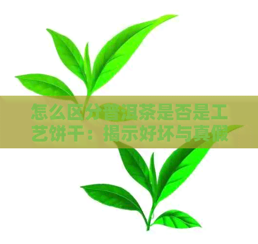 怎么区分普洱茶是否是工艺饼干：揭示好坏与真假的秘密