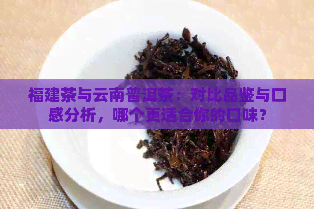 福建茶与云南普洱茶：对比品鉴与口感分析，哪个更适合你的口味？