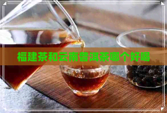 福建茶和云南普洱茶哪个好喝