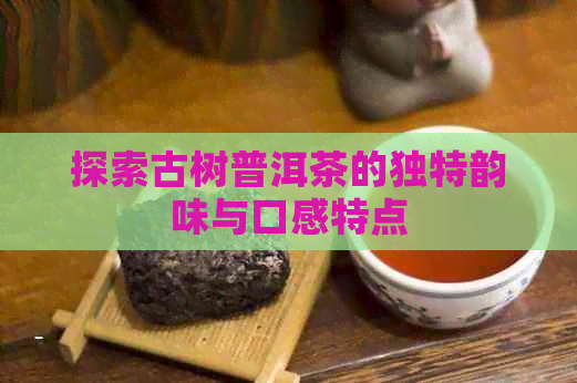 探索古树普洱茶的独特韵味与口感特点