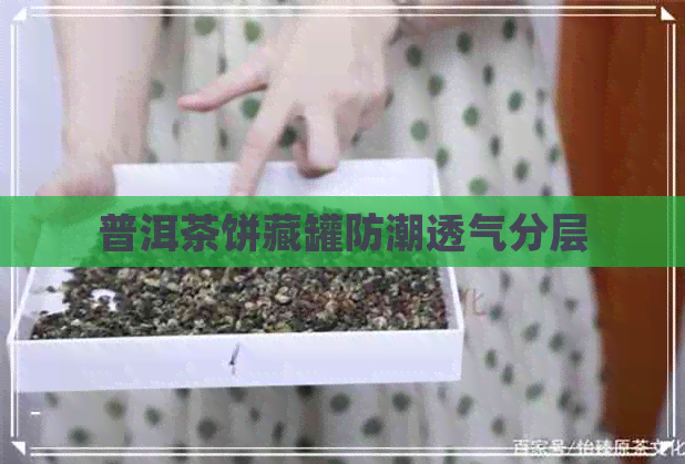 普洱茶饼藏罐防潮透气分层