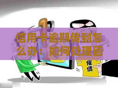 信用卡逾期传到怎么办：如何处理因信用卡逾期被关进的情况？