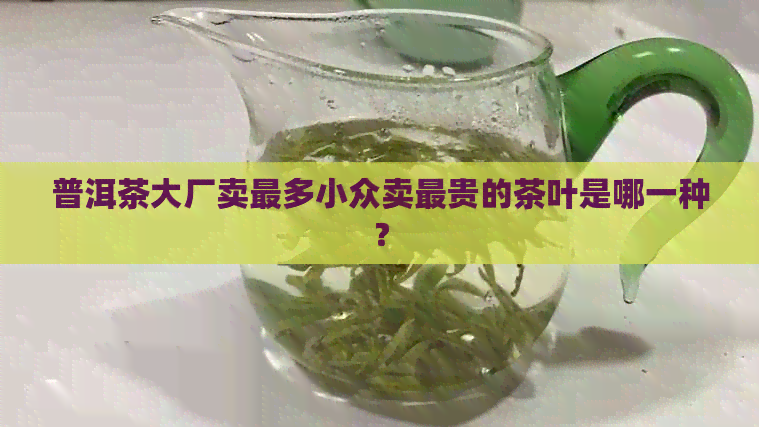 普洱茶大厂卖最多小众卖最贵的茶叶是哪一种？