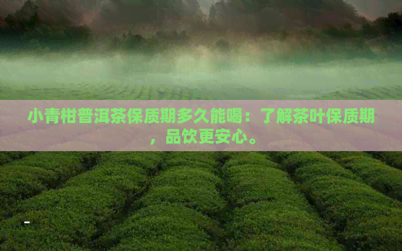 小青柑普洱茶保质期多久能喝：了解茶叶保质期，品饮更安心。