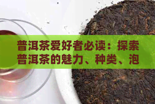 普洱茶爱好者必读：探索普洱茶的魅力、种类、泡法与健益处