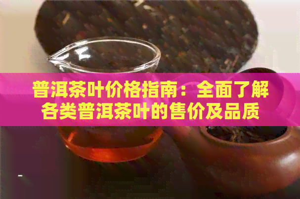 普洱茶叶价格指南：全面了解各类普洱茶叶的售价及品质