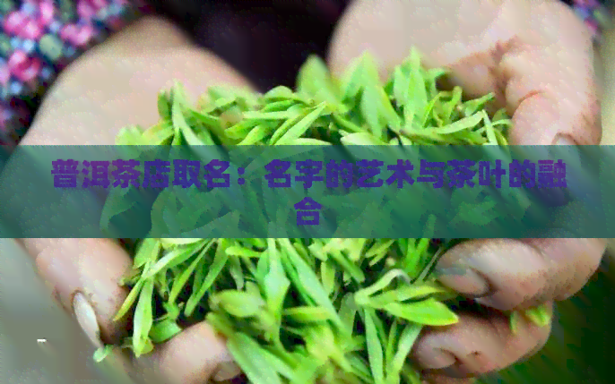 普洱茶店取名：名字的艺术与茶叶的融合