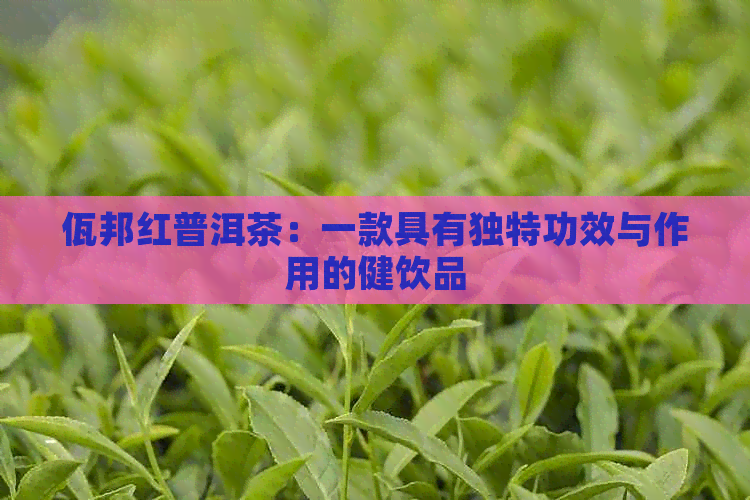 佤邦红普洱茶：一款具有独特功效与作用的健饮品