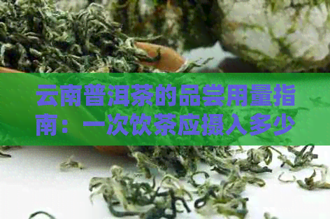 云南普洱茶的品尝用量指南：一次饮茶应摄入多少克？