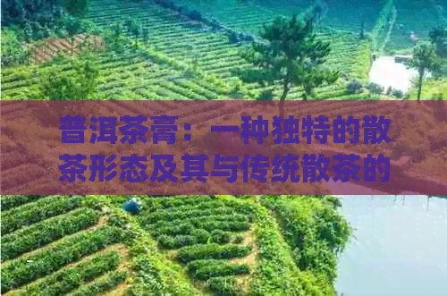 普洱茶膏：一种独特的散茶形态及其与传统散茶的区别分析