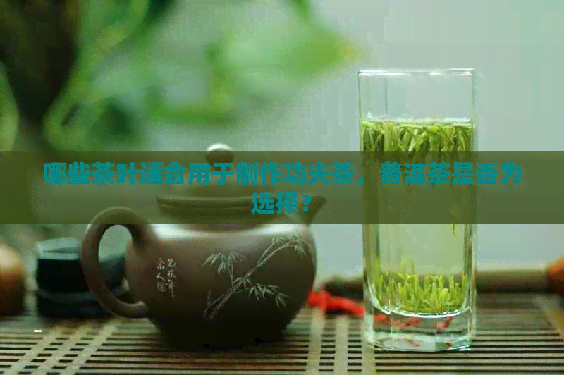 哪些茶叶适合用于制作功夫茶，普洱茶是否为选择？