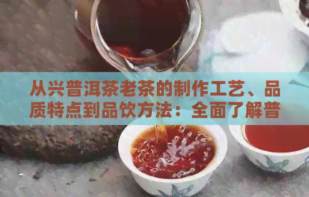 从兴普洱茶老茶的制作工艺、品质特点到品饮方法：全面了解普洱茶老茶