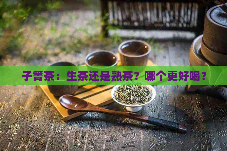 子箐茶：生茶还是熟茶？哪个更好喝？