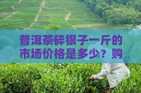 普洱茶碎银子一斤的市场价格是多少？购买时应考虑哪些因素？