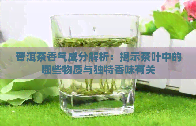 普洱茶香气成分解析：揭示茶叶中的哪些物质与独特香味有关