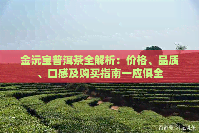金沅宝普洱茶全解析：价格、品质、口感及购买指南一应俱全