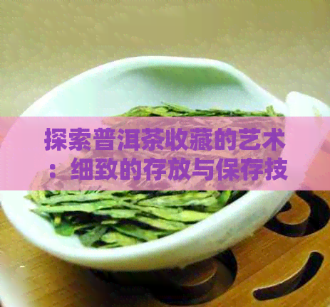 探索普洱茶收藏的艺术：细致的存放与保存技巧