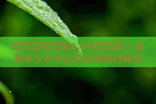 如何正确泡制6.8克普洱茶？需要多少开水以及泡茶的时间和技巧