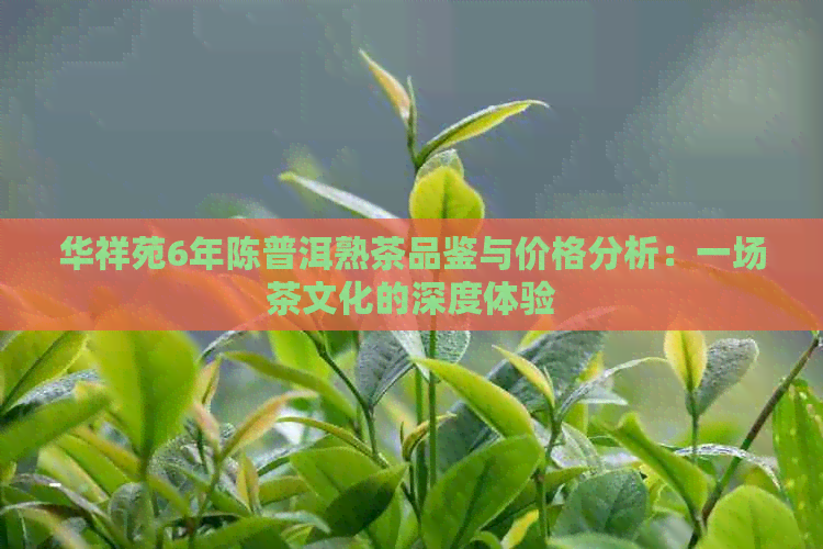 华祥苑6年陈普洱熟茶品鉴与价格分析：一场茶文化的深度体验